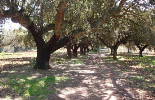 Casa Rural Sierra San Mamede - Foto 29