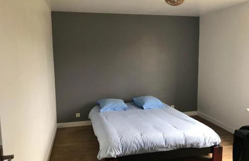 Gîte Manava - grande maison avec jardin en centre ville - Foto 8