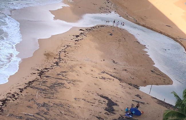 Ocean View Gorgeous 1 Bedroom Apt - Photo 38