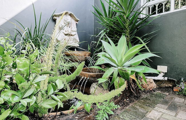 The Seagull Hermanus - Foto 50