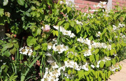 Lavender Cottage - Foto 38