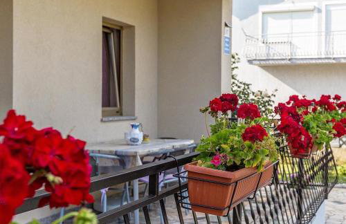 Apartment 50 shades of grey Poreč - Photo 23