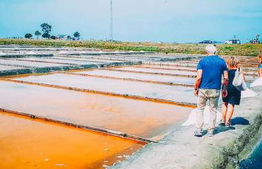 Bird’s Home - Foto 71