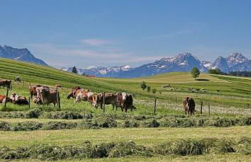 Ferienwohnung Nr 3, Lechbruck-Prem, Allgäu - Foto 17