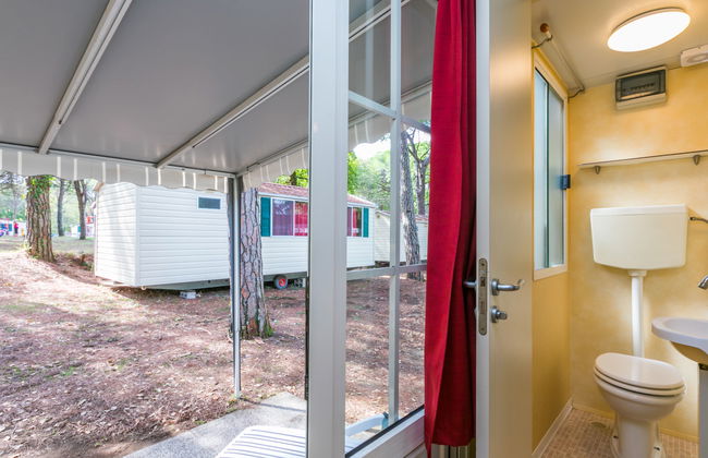 Green Holiday (GDO201) - Foto 17