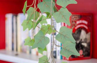 le petit indus - Foto 11