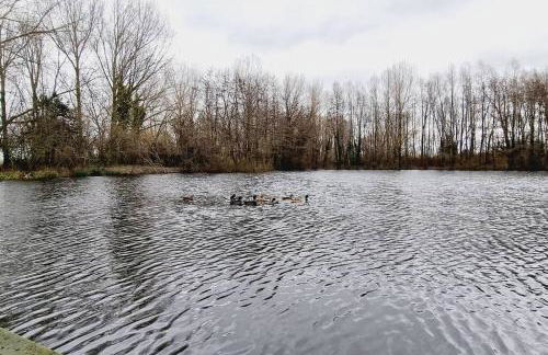 *l'Écrin de l'Étang* Dépaysement assuré - Foto 23