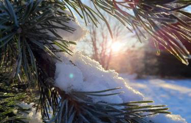 Przystań na Zagórzu - Apartamenty nad jeziorem - Foto 49