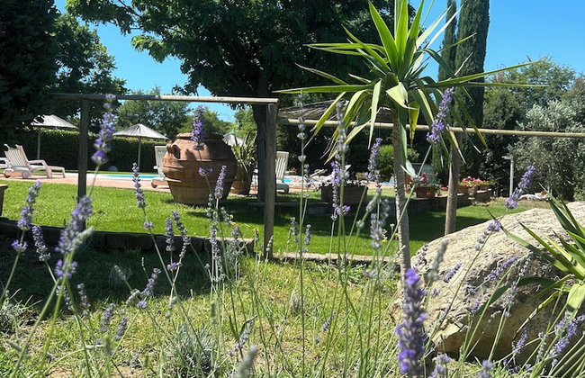 Agriturismo La Quercia - Wine&Pool - Foto 117