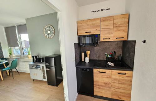 Fewo Friends, 2 Apartments, Businesswohnung, Monteurzimmer mit Gemeinschaftsküche - Foto 7