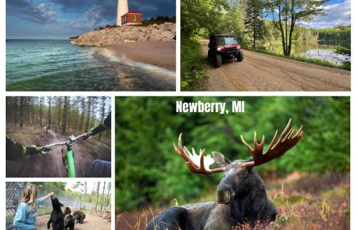 Snowmobile South Manistique Lake Lakeside Luxury - Foto 3