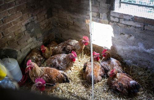 Agriturismo La Rosa Montefalco - Foto 34