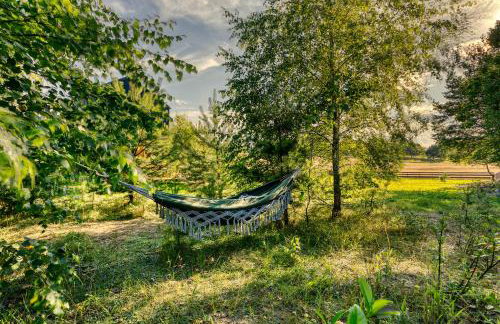 Bory Za Płotem - Foto 24