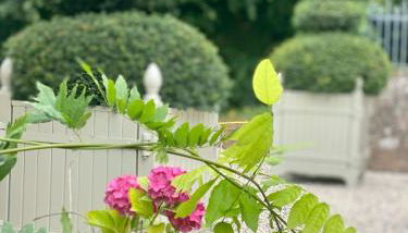 Manoir des Pavements - Photo 3, Garden