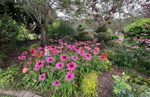 Ferienwohnung Dörfler - Foto 24