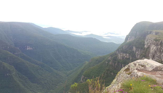 Immerse yourself in Brazilian nature