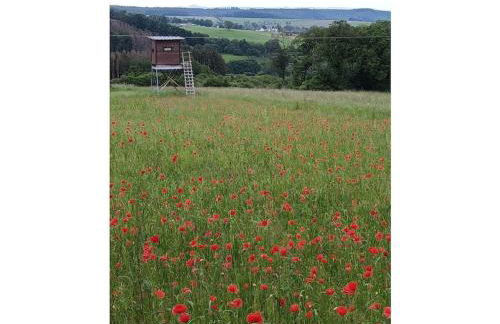 Holiday home in Blankenheim with Wi-Fi - Photo 35