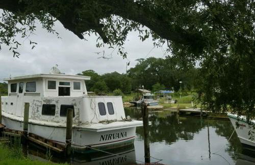 Charming Country Cabin with Self Check In - Foto 16