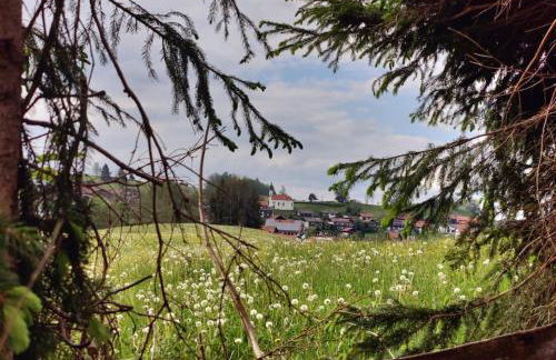 große Wohnung mit Dachterrasse - Foto 12