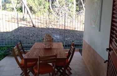 Villa immersa in pineta 100m dalla spiaggia - Foto 18