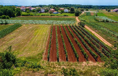 House Grandići 1852 - Foto 75