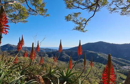 Casa El Mirador - Foto 19