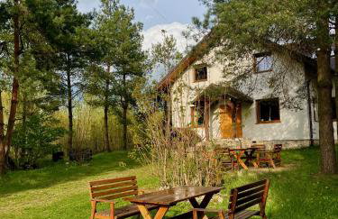 Agroturystyka Dom Wśród Sosen - Foto 75