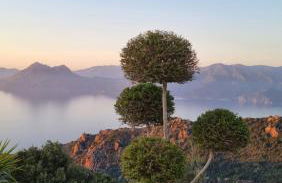 Résidence Le Bella Vista - Foto 2