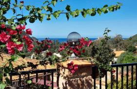 Terra Corsa Duplex T2 - Foto 30