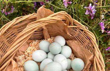 Los Tres Hórreos - Foto 25