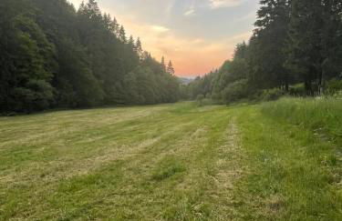 Ferienwohnung UP Willingen-Schwalefeld - Foto 30