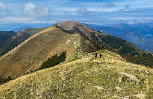 Alexander Place - Foto 47