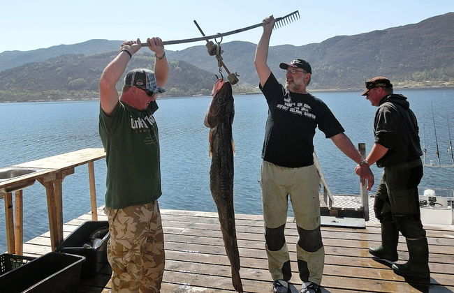 Holiday Home in Gursken - Foto 27