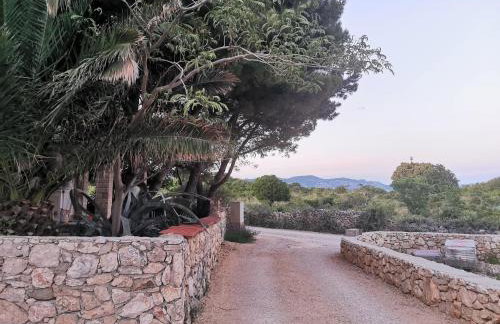 Apartments Silver - Photo 46