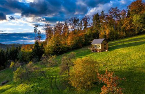 Czas i Las Glamping - Foto 16