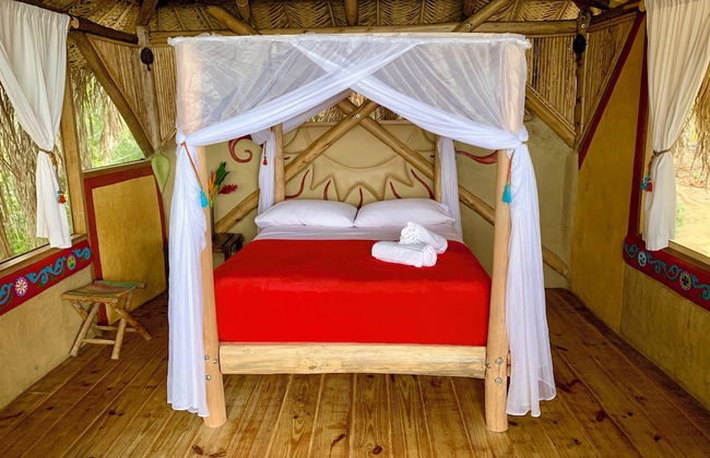 Sol de minca - Photo 7