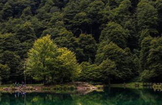 Le Galet Fuxéen - Foto 27