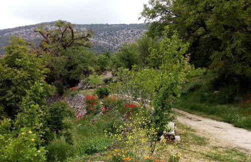 CASA RURAL "LOS CASARES" - Foto 41