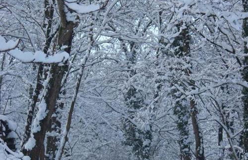 Gîte cosy pour 2 avec jardin et cheminée à Montbrison - FR-1-496-158 - Foto 18