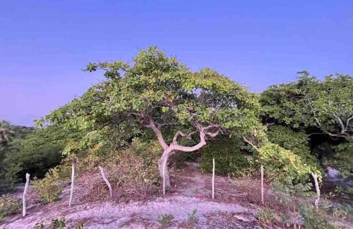 Casa do sossego - Foto 36