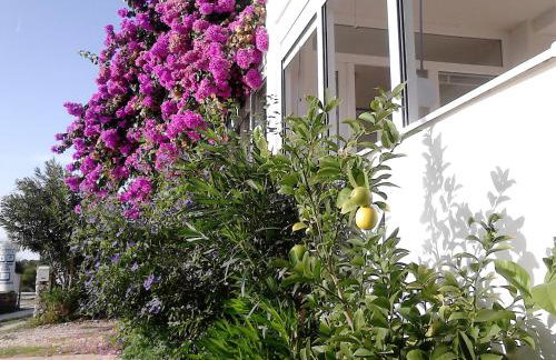 Apartment Sanja - Foto 24