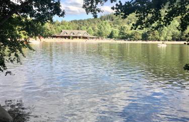 Les terrasses du château de Murol - Studio 4p au pied du château de Murol - Foto 14