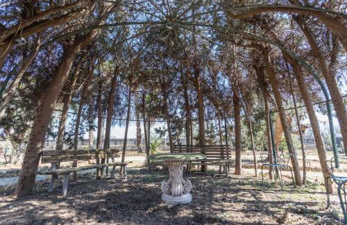 Villa Antonietta - Foto 78