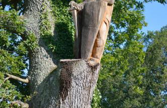 Pwllgwilym B & B - Foto 61