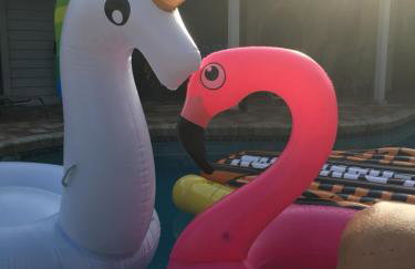 VILLA BELLY in Naples - Foto 21