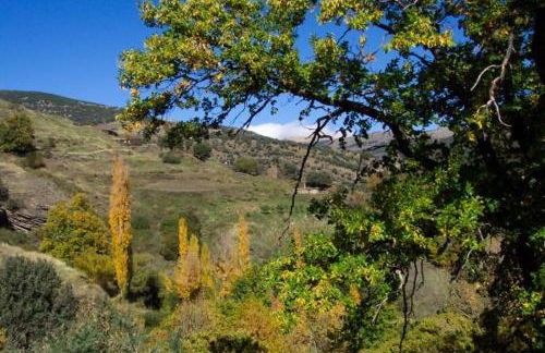 Casa Mamica Rosario - Foto 41