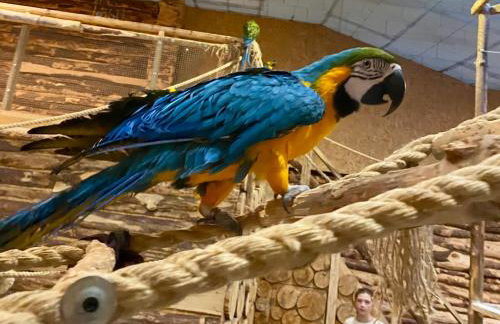 Apartment 19 - Aquapark Reda - Foto 8