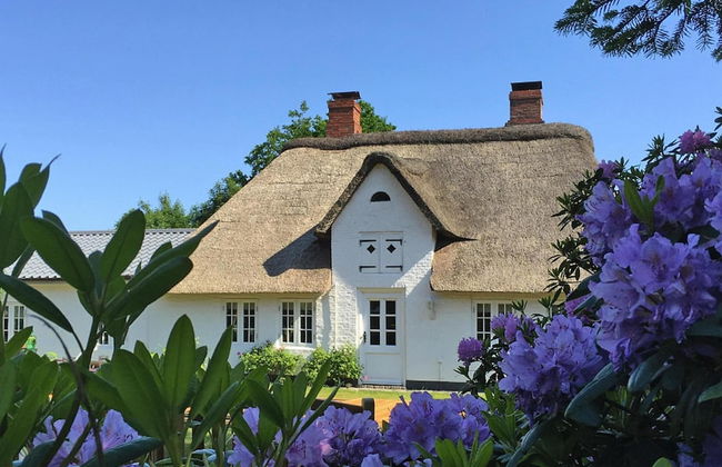 Reetgedecktes Ferienhaus in Humptrup - Foto 1