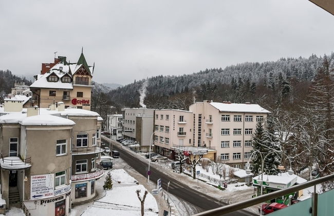 Zielony Zdrój - Foto 19