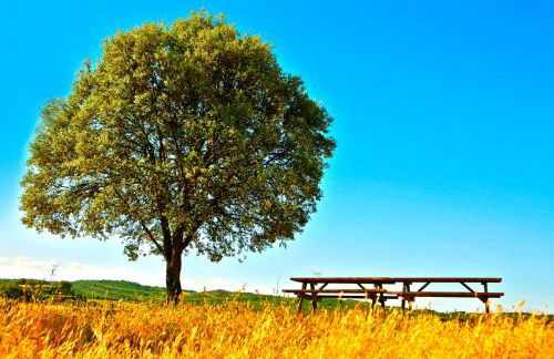 Masia Manonelles - Foto 11